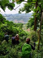 Abstieg, Bwindi Impenetrable Nationalpark, Uganda