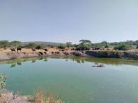 Walking-Safari, Lake Mburo Nationalpark, Uganda