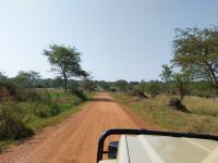 Lake Mburo Nationalpark, Uganda