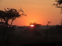 Sonnenaufgang, Lake Mburo Nationalpark, Uganda