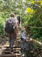 Wanderung Bigodi Wetlands, Uganda