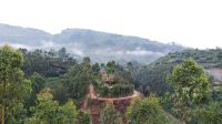 Bwindi Impenetrable Nationalpark, Uganda