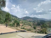 Fahrt durch den Bwindi Impenetrable Nationalpark, Uganda