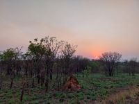 Sonnenuntergang, Murchison Falls Nationalpark