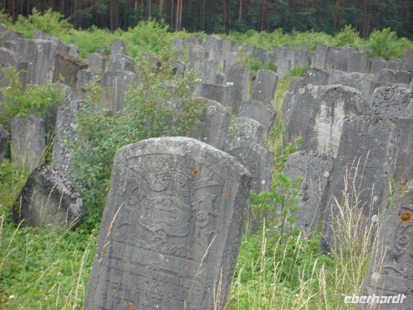 Brody: Rundgang: Jüdischer Friedhof