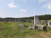 Brody. Jüdischer Friedhof.