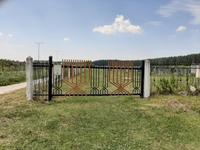 Brody. Alter jüdischer Friedhof. Eingang.