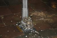 Gastgeschenk der Stadt Breslau