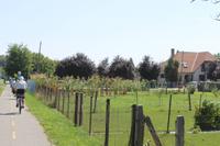 2. Tag: Radtour von Mosonmagyarovar nach Györ