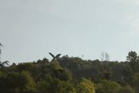  Radtour von Tiszafüred nach Poroszlo entlang des Theiss See - Busfahrt nach Tiszafüred 