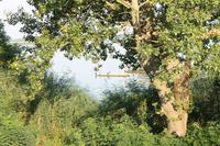  Radtour von Tiszafüred nach Poroszlo entlang des Theiss See