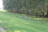 4. Tag: Radtour von Tiszafüred nach Tiszaujvaro, Besuch des Höhlenbads von Miskolc