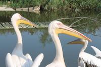 5. Tag: Radtour von Poroszlo nach Dobapuszta entlang der Theiss