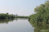 5. Tag: Radtour von Poroszlo nach Dobapuszta entlang der Theiss - Bootsfahrt auf der Theiss