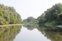 5. Tag: Radtour von Poroszlo nach Dobapuszta entlang der Theiss - Bootsfahrt auf der Theiss