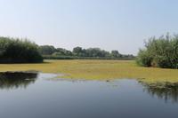 5. Tag: Radtour von Poroszlo nach Dobapuszta entlang der Theiss - Bootsfahrt auf der Theiss