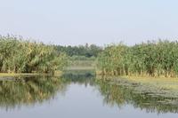 5. Tag: Radtour von Poroszlo nach Dobapuszta entlang der Theiss - Bootsfahrt auf der Theiss