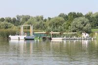 5. Tag: Radtour von Poroszlo nach Dobapuszta entlang der Theiss - Bootsfahrt auf der Theiss