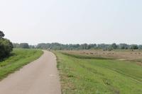 5. Tag: Radtour von Poroszlo nach Dobapuszta entlang der Theiss