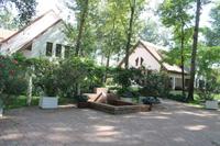 6. Tag: Vormittag Freizeit - Nachmittag Pferdekutschfahrt und Reitershow im Hotel Varga Tanya