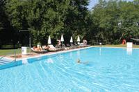 6. Tag: Vormittag Freizeit - Nachmittag Pferdekutschfahrt und Reitershow im Hotel Varga Tanya