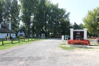 6. Tag: Vormittag Freizeit - Nachmittag Pferdekutschfahrt und Reitershow im Hotel Varga Tanya