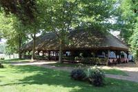 6. Tag: Vormittag Freizeit - Nachmittag Pferdekutschfahrt und Reitershow im Hotel Varga Tanya