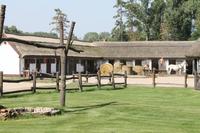 6. Tag: Vormittag Freizeit - Nachmittag Pferdekutschfahrt und Reitershow im Hotel Varga Tanya