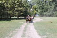 6. Tag: Vormittag Freizeit - Nachmittag Pferdekutschfahrt und Reitershow im Hotel Varga Tanya