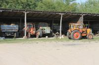 6. Tag: Vormittag Freizeit - Nachmittag Pferdekutschfahrt und Reitershow im Hotel Varga Tanya