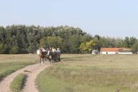 6. Tag: Vormittag Freizeit - Nachmittag Pferdekutschfahrt und Reitershow im Hotel Varga Tanya