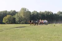 6. Tag: Vormittag Freizeit - Nachmittag Pferdekutschfahrt und Reitershow im Hotel Varga Tanya