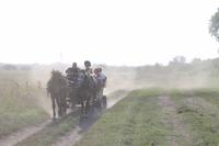 6. Tag: Vormittag Freizeit - Nachmittag Pferdekutschfahrt und Reitershow im Hotel Varga Tanya