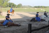 6. Tag: Vormittag Freizeit - Nachmittag Pferdekutschfahrt und Reitershow im Hotel Varga Tanya