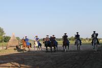 6. Tag: Vormittag Freizeit - Nachmittag Pferdekutschfahrt und Reitershow im Hotel Varga Tanya
