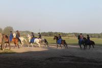 6. Tag: Vormittag Freizeit - Nachmittag Pferdekutschfahrt und Reitershow im Hotel Varga Tanya