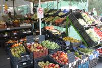 7. Tag: Radtour durch die Puszta anschließend Stadtbesichtigung in Kecskemet und Besuch der Therme in Cegled 