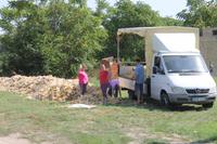 7. Tag: Radtour durch die Puszta anschließend Stadtbesichtigung in Kecskemet und Besuch der Therme in Cegled 