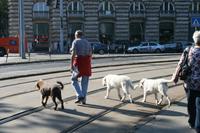 Budapester Impressionen &ndash; &copy; Annett Müller (Eberhardt TRAVEL)