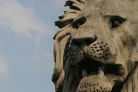 Auch in Budapest gibt es Löwen &ndash; &copy; Annett Müller (Eberhardt TRAVEL)