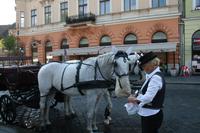 Im Burgviertel &ndash; &copy; Annett Müller (Eberhardt TRAVEL)