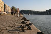 Schuhe am Donauufer &ndash; &copy; Annett Müller (Eberhardt TRAVEL)