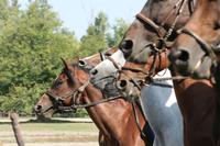 &copy; Annett Müller (Eberhardt TRAVEL)