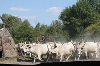 &copy; Annett Müller (Eberhardt TRAVEL)