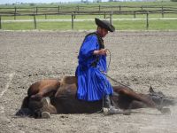 in der Puszta: Reitershow