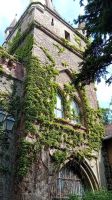 Burg Vajdahunyad &ndash; &copy; Allina Anderer (Eberhardt TRAVEL)