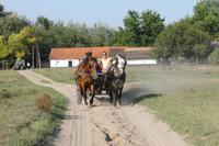 6. Tag: Vormittag Freizeit - Nachmittag Pferdekutschfahrt und Reitershow im Hotel Varga Tanya