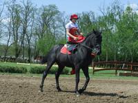 Auch Sisi zeigte uns ihr Können