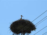 Radtour - Mosonmagyaróvar nach Györ (45 km)