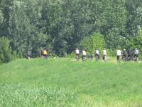 Radtour - Poroszló – Tiszafüred (55 km)